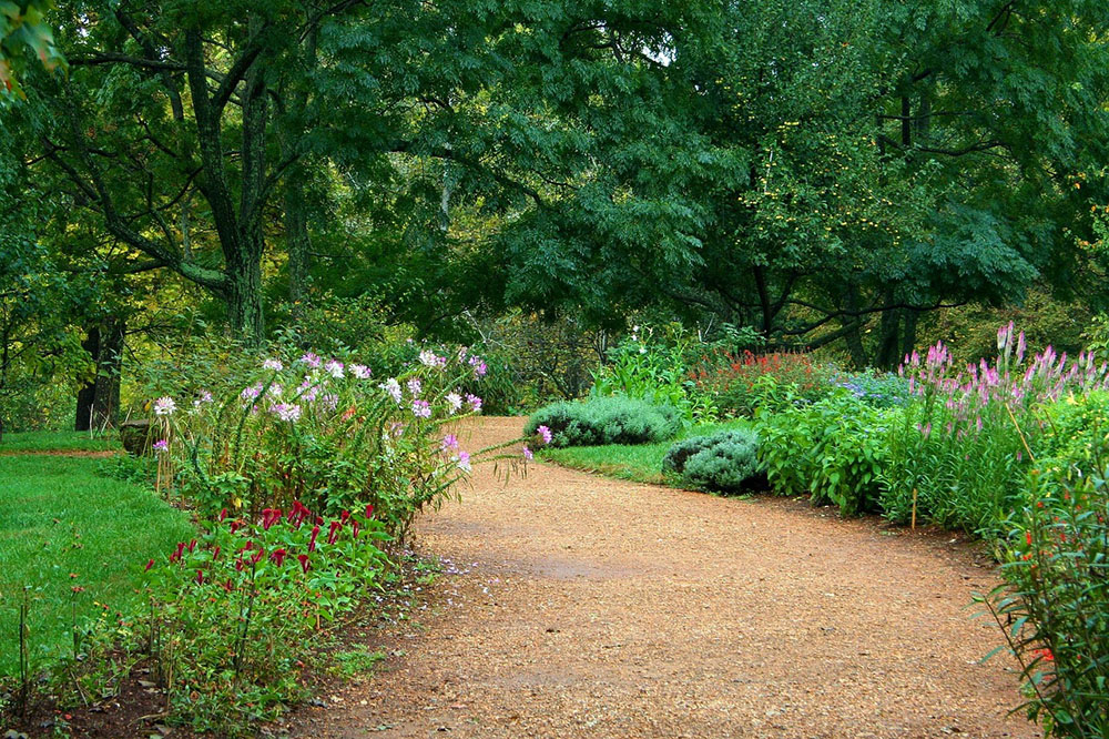 Curved garden pathway with plants Curved garden pathway with plants