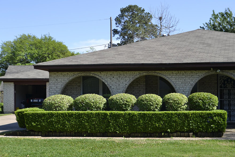 House with perfectly shaped round shrubs House with perfectly shaped round shrubs