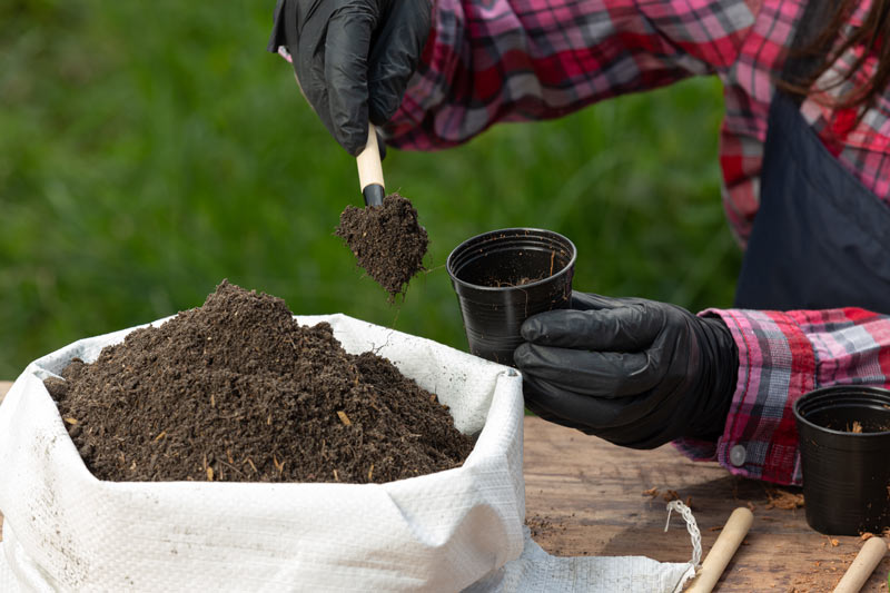 Gloved hands preparing soil in garden Gloved hands preparing soil in garden