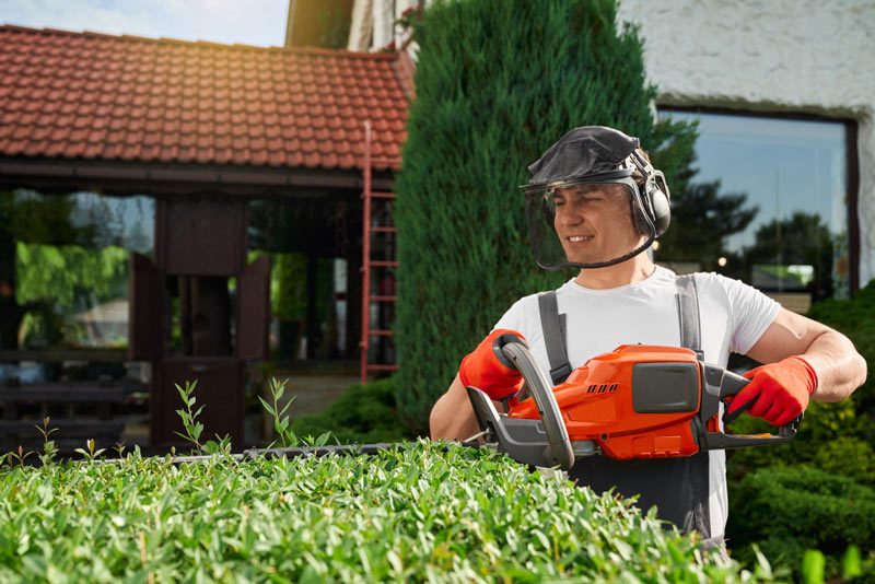 Worker trimming hedge with power trimmer Worker trimming hedge with power trimmer